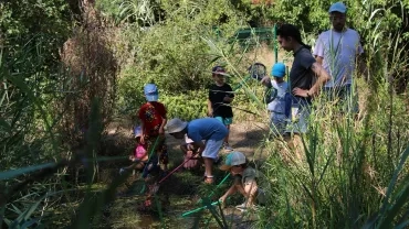 Vacances d'été - 31 juillet au 04 août 2023