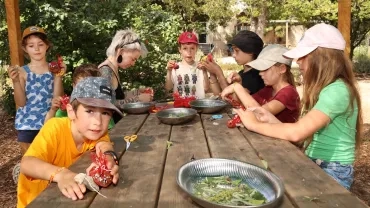 Vacances d'été - 10 au 13 juillet 2023
