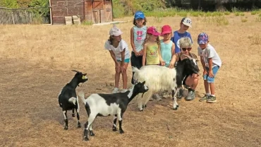 Vacances d'été - 5 au 9 août 2019