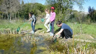 Mercredis de mars 2019