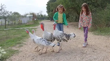 Mercredis d'octobre 2023