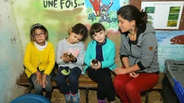 Mercredis de novembre 2018