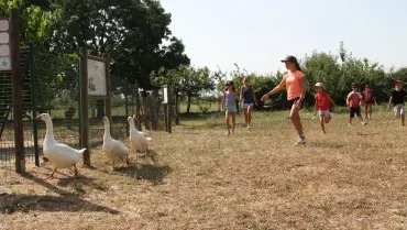 Vacances d'été - 18 au 22 juillet 2016