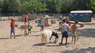 Vacances d'été - 18 au 22 juillet 2022