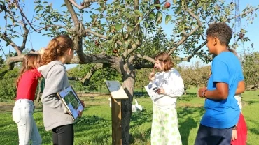 Vacances d'automne - 28 au 31 octobre 2019