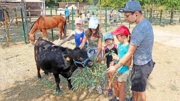 Vacances d'été - 26 au 30 août 2019