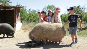 Vacances d'été - 10 au 13 juillet 2017