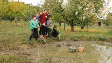 Vacances d'automne - 24 au 28 octobre 2016