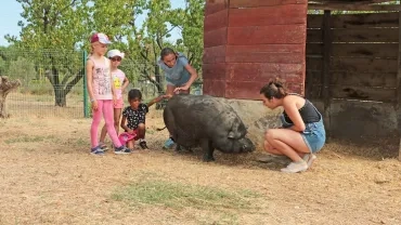 Vacances d'été - 5 au 9 août 2019