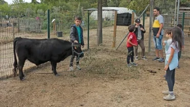 Mercredis de septembre 2019
