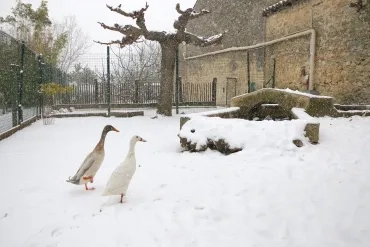 Vacances d'hiver - 26 février au 2 mars 2018