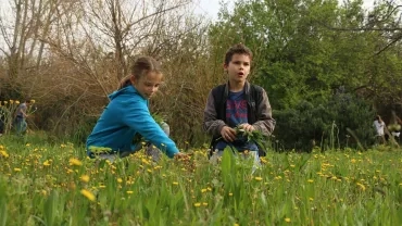 Mercredis d'avril 2016