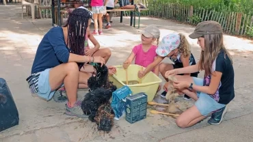 Vacances d'été - 5 au 9 août 2019