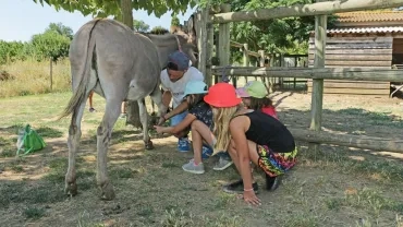 Vacances d'été - 16 au 20 juillet 2018