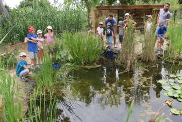 Vacances d'été - 9 au 13 juillet 2018
