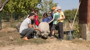 Mercredis de septembre 2017