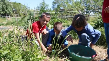 Vacances de printemps - 25 au 29 avril 2016