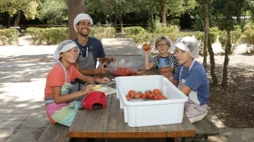 Vacances d'été - 17 au 21 juillet 2017