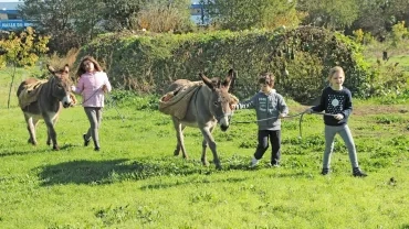 Mercredis de novembre 2019