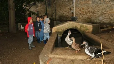 Mercredis de septembre 2016