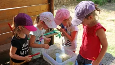 Vacances d'été - 29 juillet au 2 août 2019