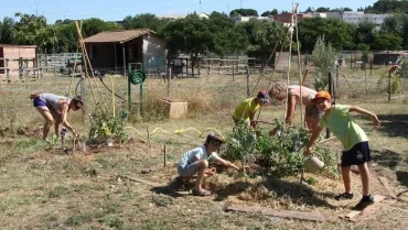 Vacances d'été - 25 au 29 juillet 2016