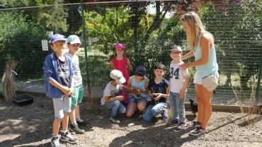 Mercredis de mai 2017