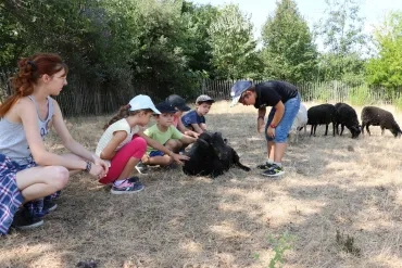 Vacances d'été - 15 au 19 juillet 2019