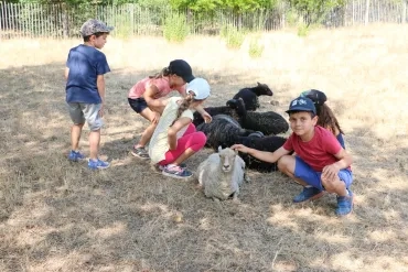 Vacances d'été - 15 au 19 juillet 2019