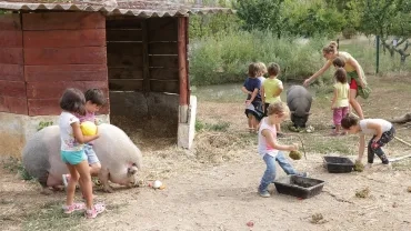 Mercredis de septembre 2017