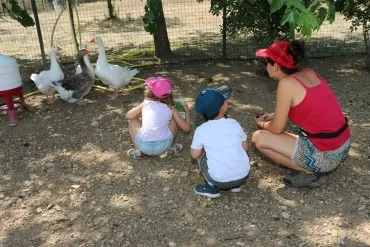 Vacances d'été - 15 au 19 juillet 2019