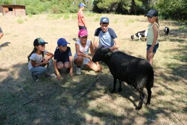 Vacances d'été - 15 au 19 juillet 2019