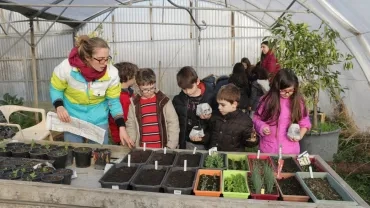 Mercredis de janvier 2017