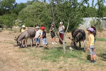 Vacances d'été - 15 au 19 juillet 2019
