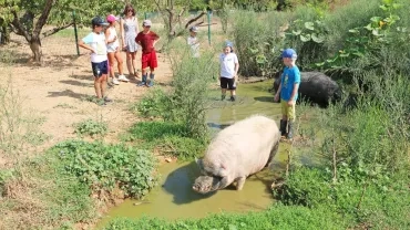 Vacances d'été - 26 au 30 août 2019