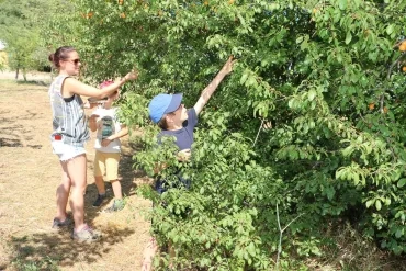 Vacances d'été - 8 au 12 juillet 2019