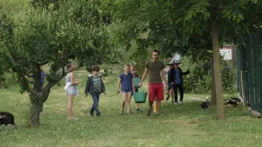 Mercredis de mai 2017