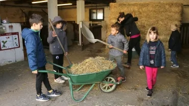 Mercredis de janvier 2019