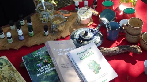 Diverses objets sur une table : théière, huiles essentielles, livres...