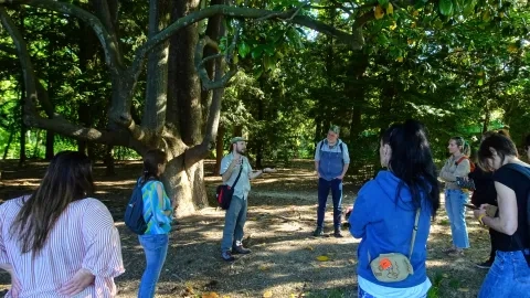 Un animateur présente un arboretum à un groupe d'adulte