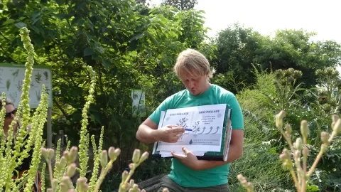 un animateur montre différentes techniques de paillage à un groupe d'adultes