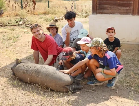 Un groupe d'enfants et leurs animateurs caresssent un cochon couché