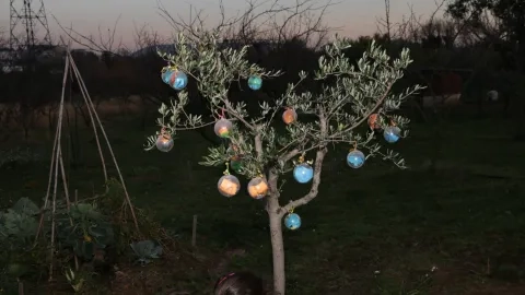 Vacances de Noël - 19 au 23 décembre 2016