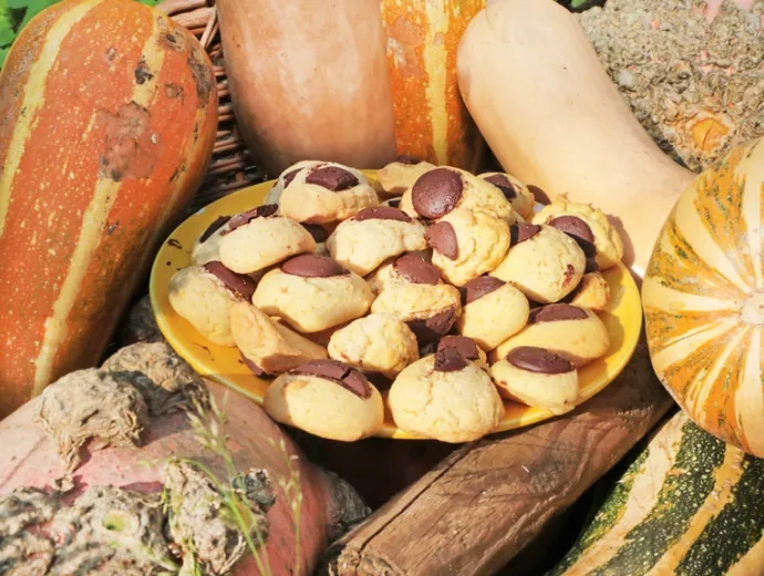 Des biscuits sont installés dans une assiette avec des courges de différentes espèces autour.
