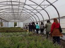 un groupe d'adultes visite une serre