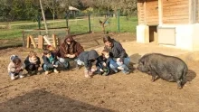 un groupe d'enfants et leurs animatrices observent un cochon dans son enclos