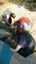 Les participantes recherchent des êtres vivants dans la rivière.