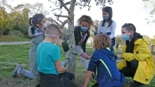 Mercredis de novembre 2020
