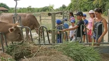 Vacances d'été - 30 juillet au 3 août 2018