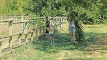 Vacances d'été - 16 au 20 juillet 2018